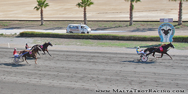 Race 5 confirmed result