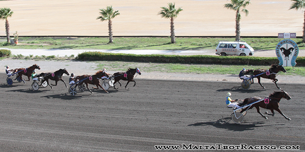 Race 5 confirmed result