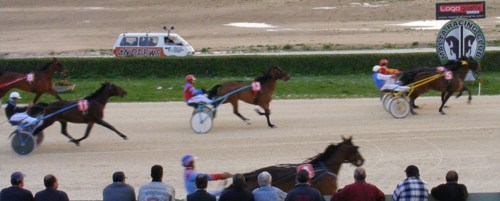 Race 8 confirmed result