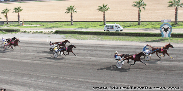 Race 5 confirmed result