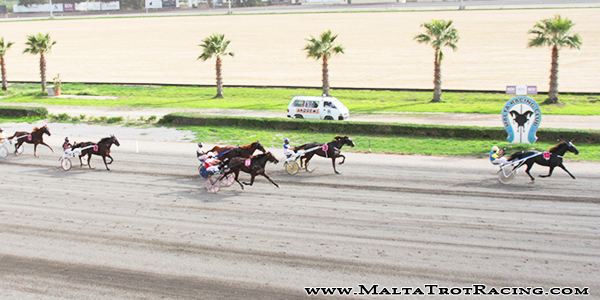 Race 5 confirmed result