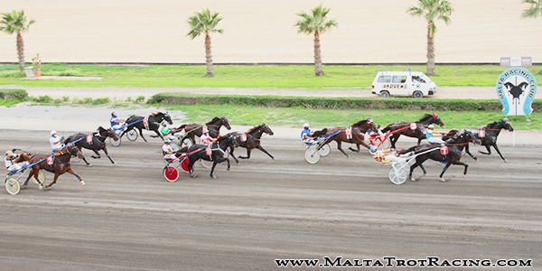 Race 8 confirmed result
