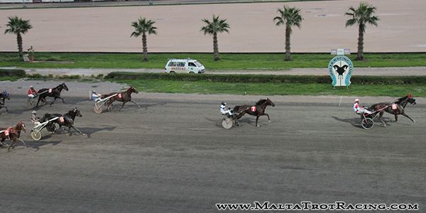 Race 8 confirmed result