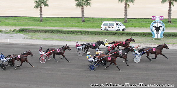 Race 5 confirmed result