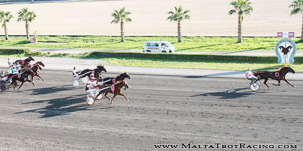 Race 5 confirmed result