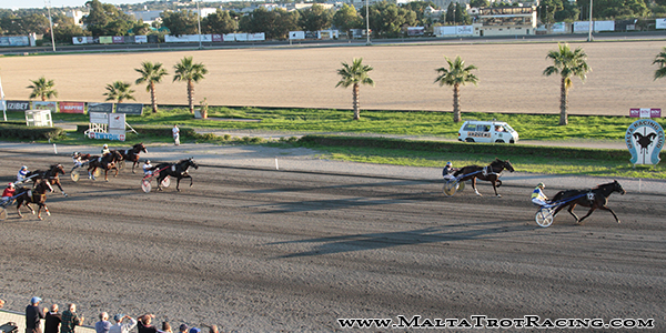 Race 7 confirmed result