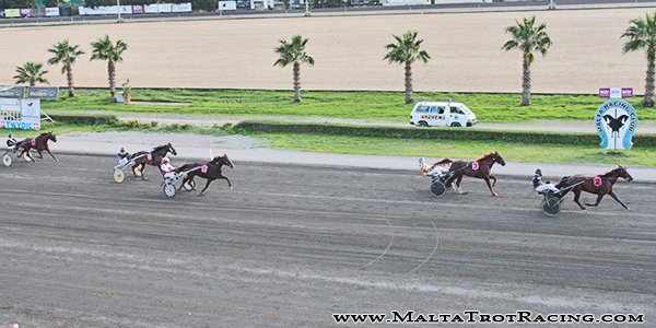 Race 5 confirmed result