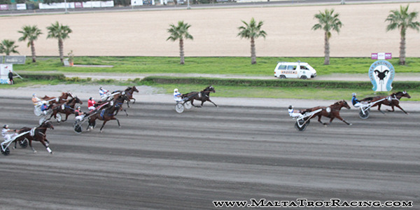 Race 7 confirmed result