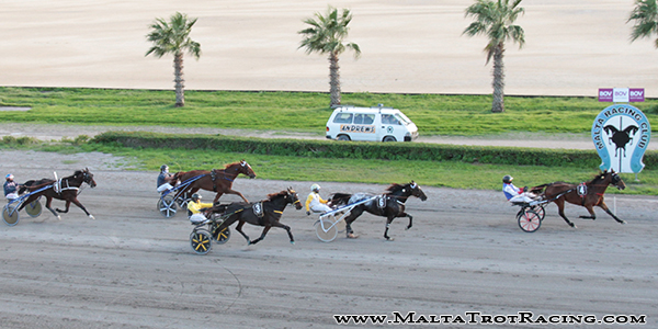 Race 7 confirmed result