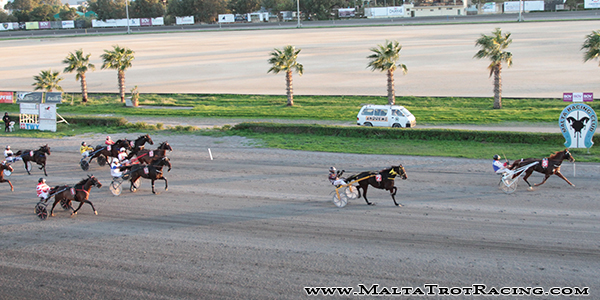 Race 8 confirmed result