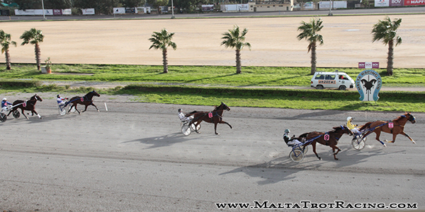 Race 5 confirmed result