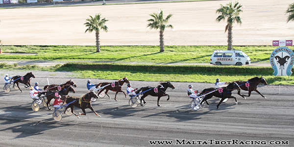 Race 5 confirmed result