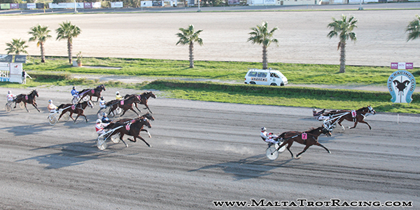 Race 5 confirmed result