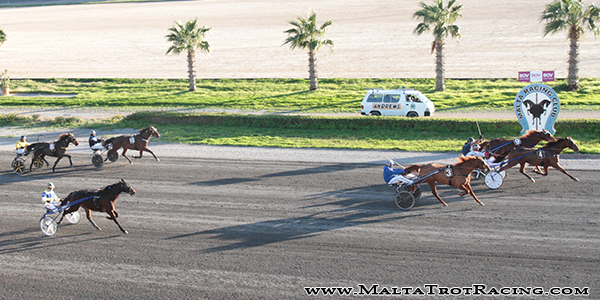 Race 7 confirmed result