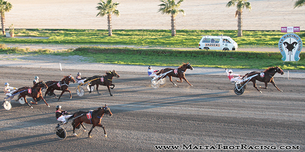 Race 8 confirmed result