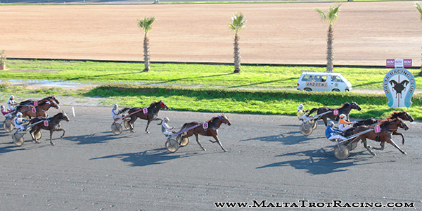 Race 5 confirmed result