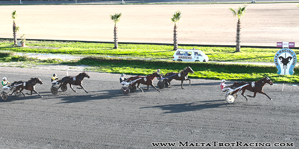 Race 7 confirmed result
