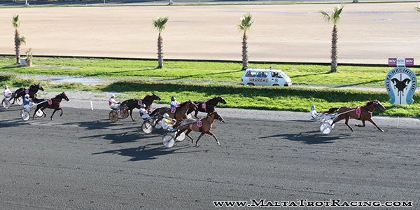 Race 5 confirmed result