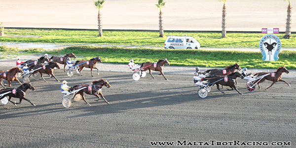Race 8 confirmed result