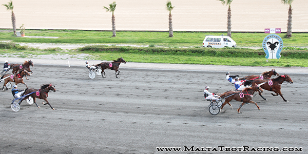 Race 5 confirmed result