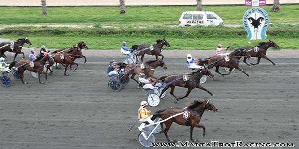 Race 7 confirmed result