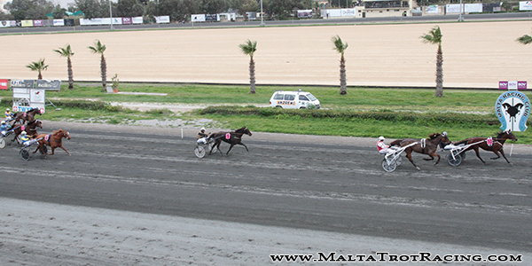 Race 5 confirmed result