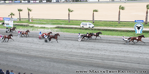 Race 8 confirmed result