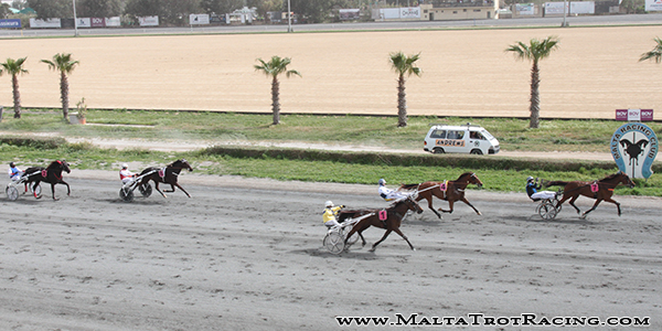 Race 5 confirmed result
