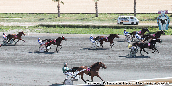 Race 5 confirmed result