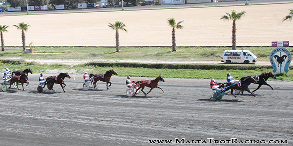 Race 5 confirmed result