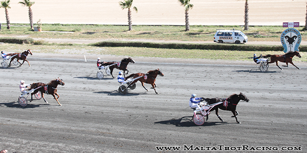 Race 8 confirmed result