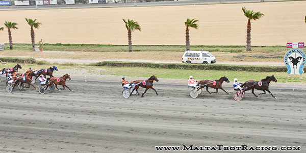 Race 5 confirmed result