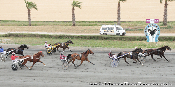 Race 7 confirmed result