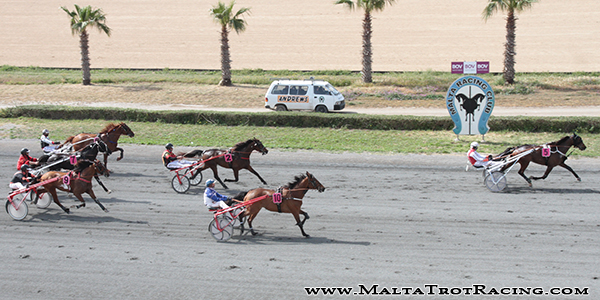Race 5 confirmed result