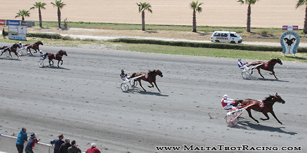 Race 8 confirmed result