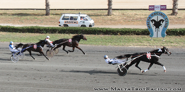 Race 8 confirmed result