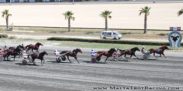 Race 5 confirmed result