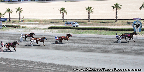 Race 5 confirmed result