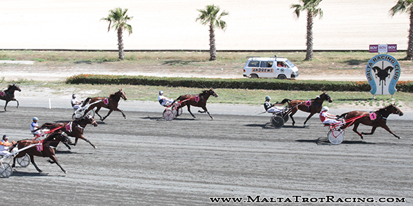 Race 5 confirmed result
