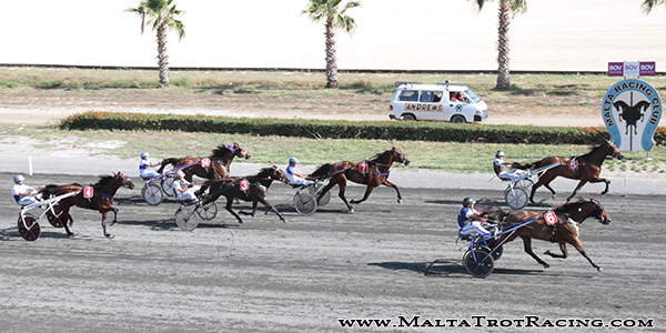 Race 8 confirmed result