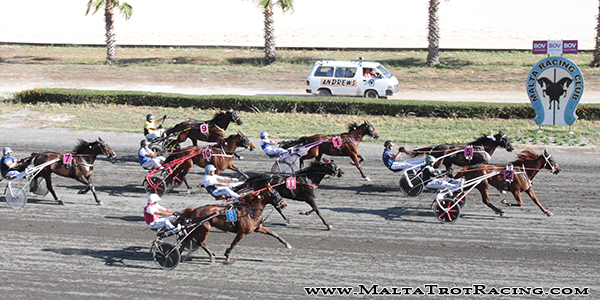 Race 5 confirmed result