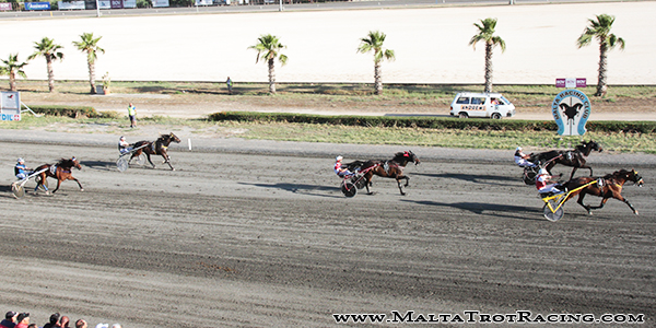 Race 7 confirmed result