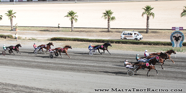 Race 5 confirmed result