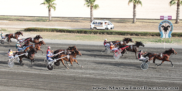 Race 7 confirmed result
