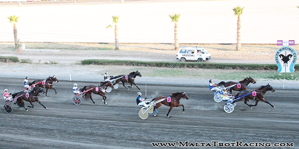 Race 5 confirmed result