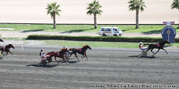 Race 5 confirmed result