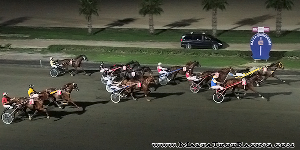 Race 8 confirmed result