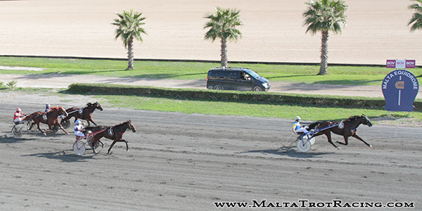 Race 7 confirmed result