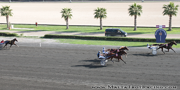 Race 8 confirmed result