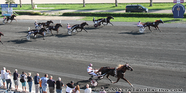 Race 7 confirmed result